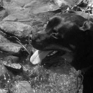 Meet your Posher, Keri